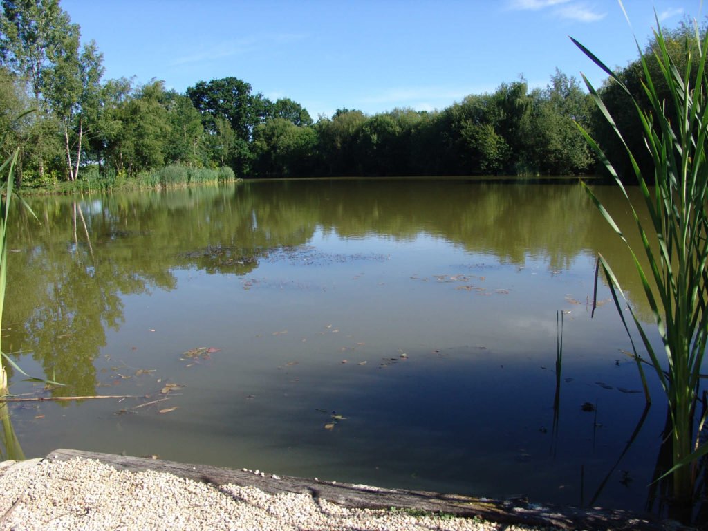 carp fishing holiday france