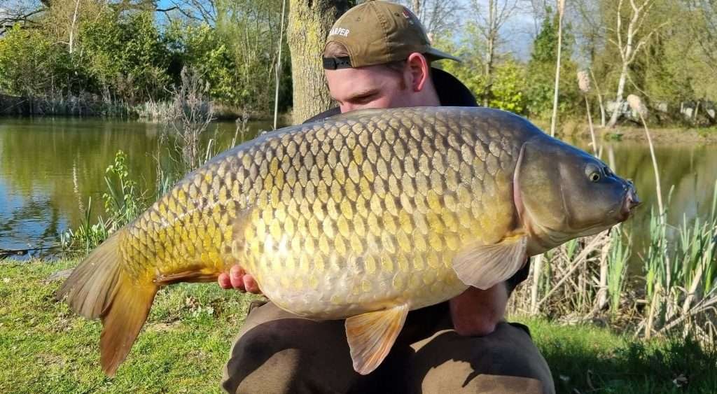 Carp fishing france